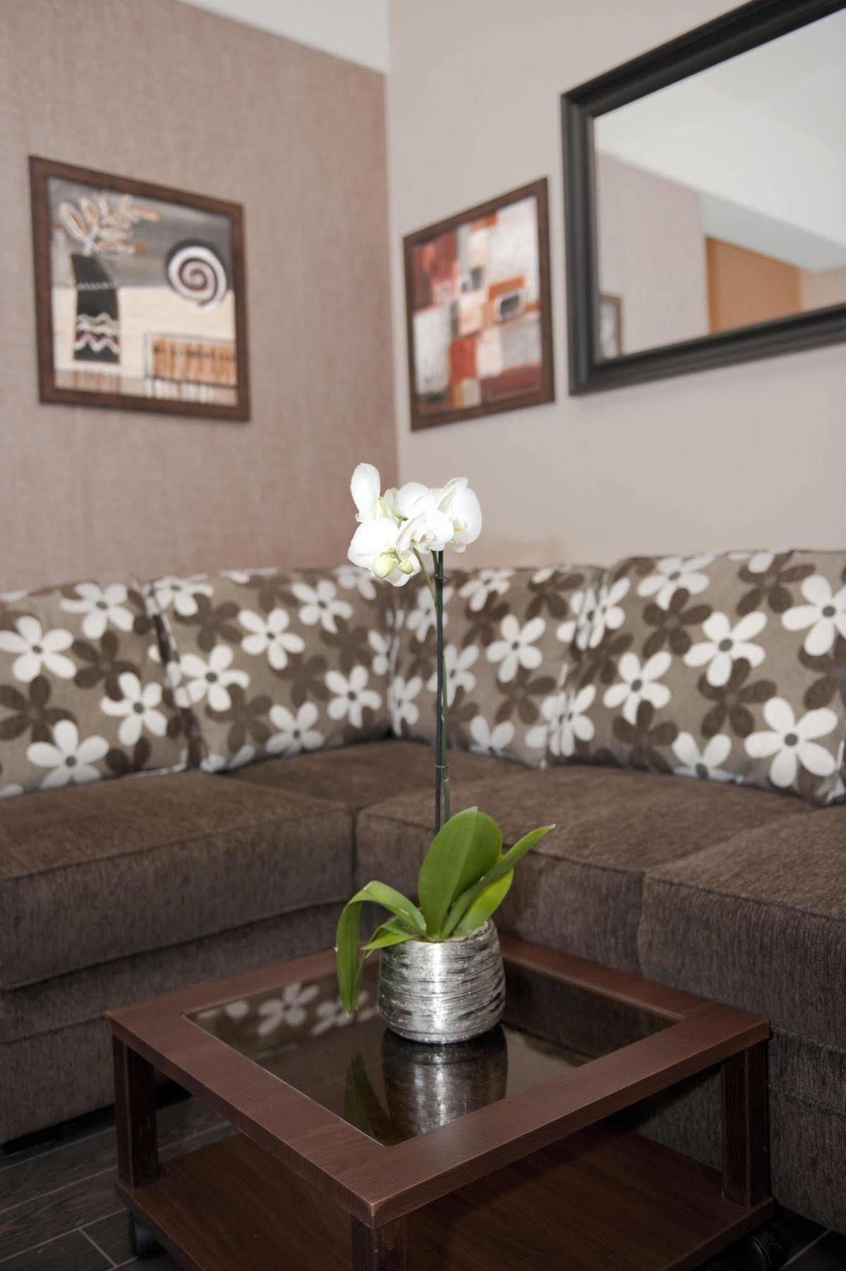 Hotel Check Inn Timisoara Ngoại thất bức ảnh